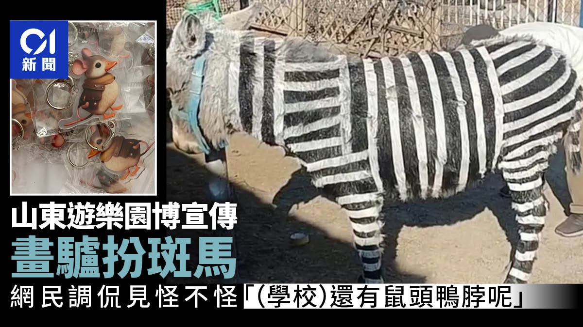 山東一遊樂園為宣傳指驢為斑馬 網民侃見怪不怪:還有鼠頭鴨脖呢 山東一遊樂園為宣傳指驢為斑馬 網民侃見怪不怪:還有鼠頭鴨脖呢