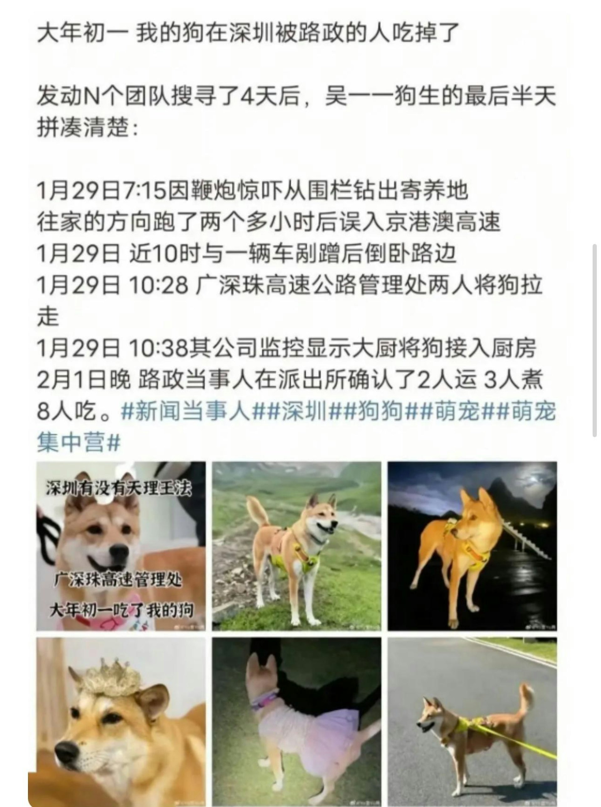 女網民在網上發文指控深圳路政員。(抖音) 女網民在網上發文指控深圳路政員。(抖音)