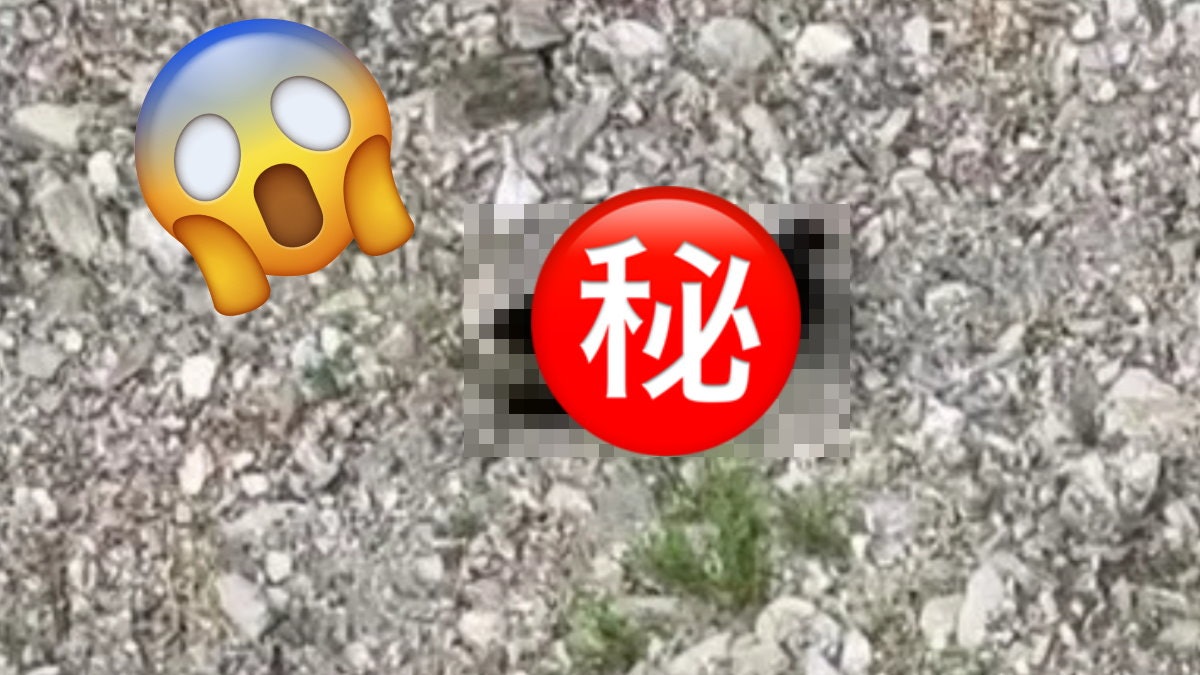 台灣黑熊不冬眠?女遊客行吊橋驚見「腳下熊出沒」嘴裡叼著這動物 台灣黑熊不冬眠?女遊客行吊橋驚見「腳下熊出沒」嘴裡叼著這動物