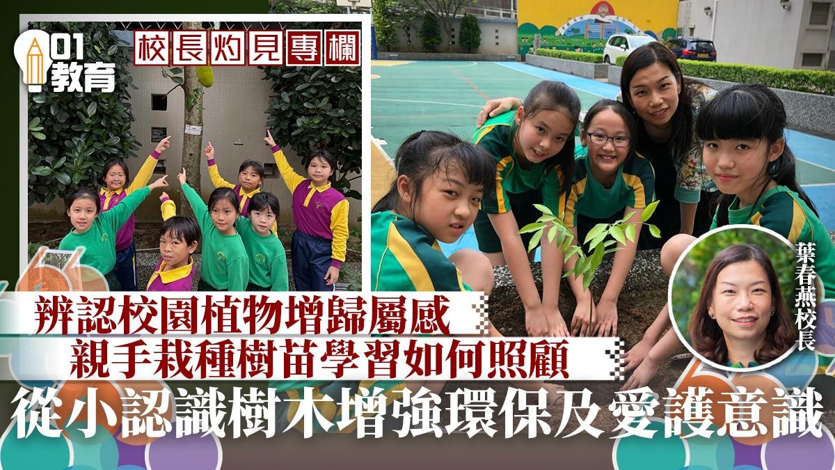 校長灼見|樹木與環保意識:小學教育中的重要課題 校長灼見|樹木與環保意識:小學教育中的重要課題