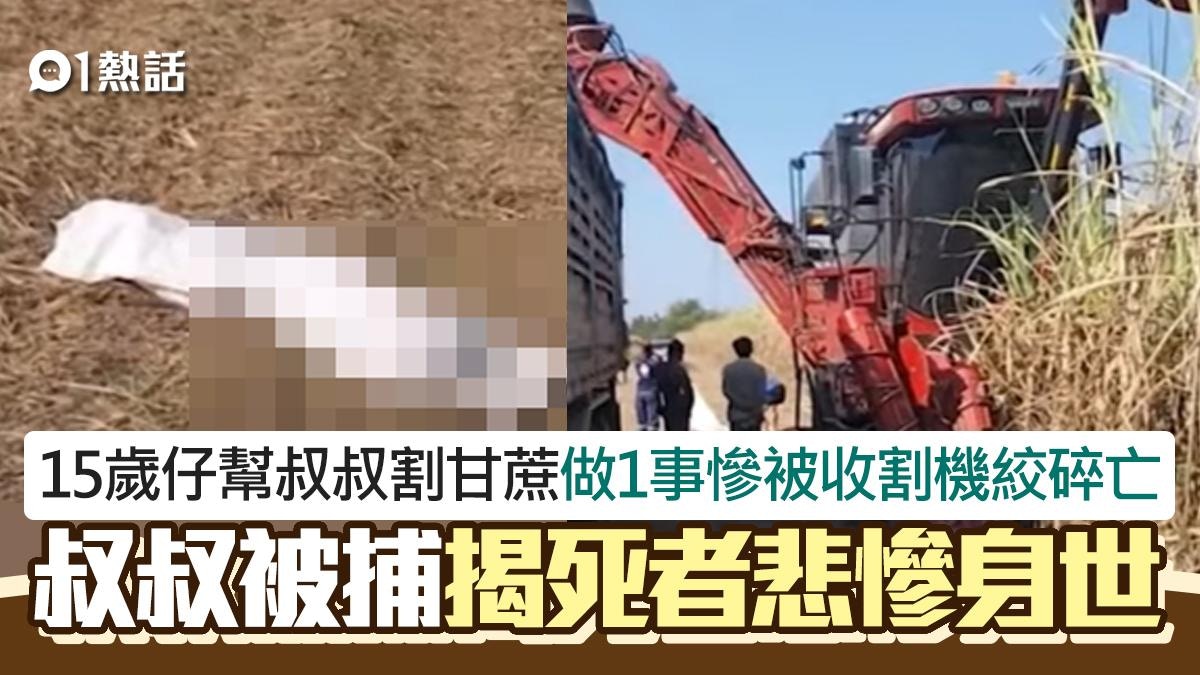 15歲幫工做1事慘被甘蔗收割機絞碎亡！　叔叔被捕揭死者悲慘身世
