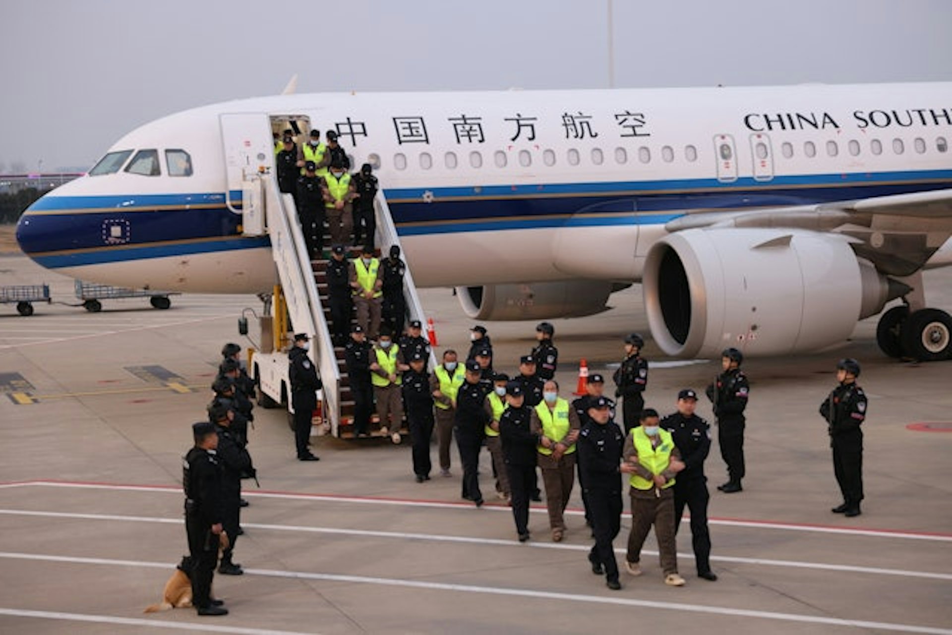 緬甸妙瓦底地區的200名中國籍涉詐犯罪嫌疑人,被公安機關押解回國。(新華社) 緬甸妙瓦底地區的200名中國籍涉詐犯罪嫌疑人,被公安機關押解回國。(新華社)