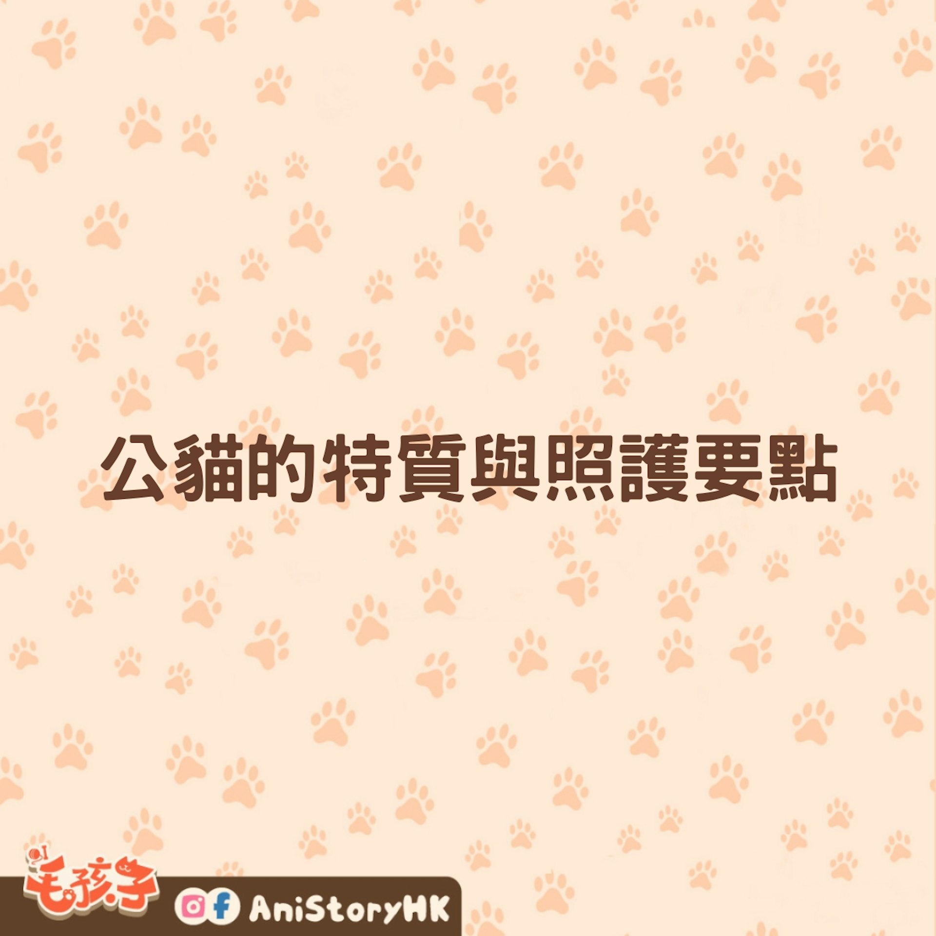 無論是貓仔或貓女,照顧牠們最重要是有耐心,了解每隻貓咪的所需。(01製圖) 無論是貓仔或貓女,照顧牠們最重要是有耐心,了解每隻貓咪的所需。(01製圖)