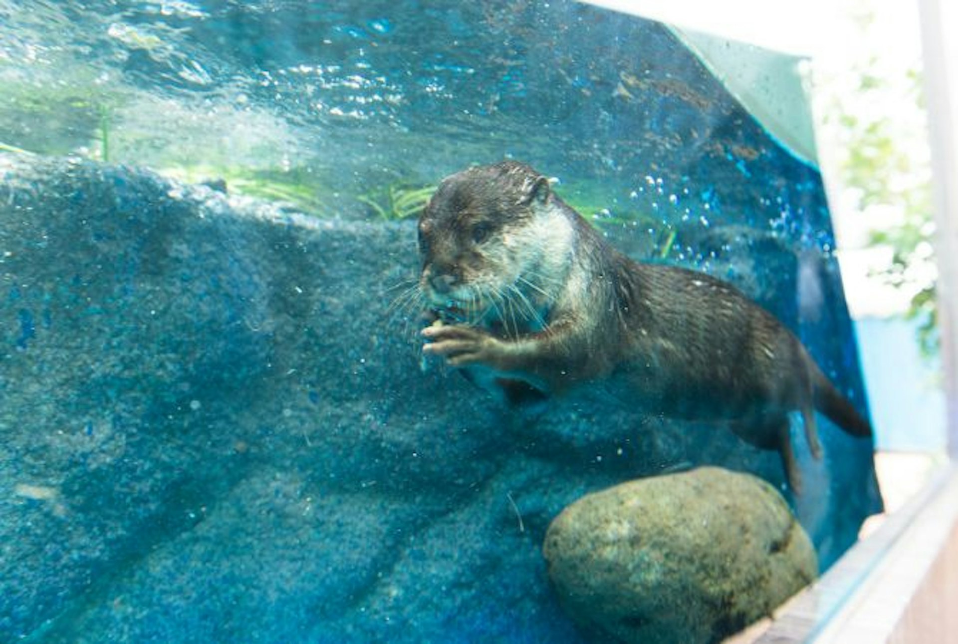 陽光水族館(圖片來源:日本國家旅遊局) 陽光水族館(圖片來源:日本國家旅遊局)
