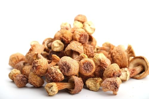 姬松茸多為人工培植，原產巴西，因此又名巴西蘑菇，與蘑菇同科，與松茸反而無關。（網上圖片）
