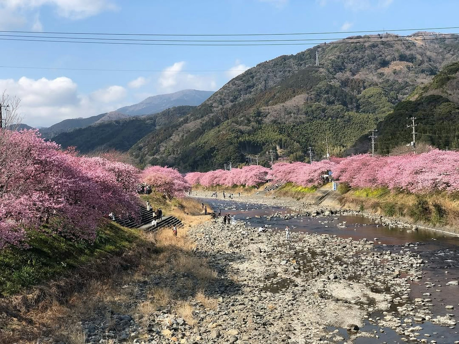 靜岡伊豆河津町 靜岡伊豆河津町