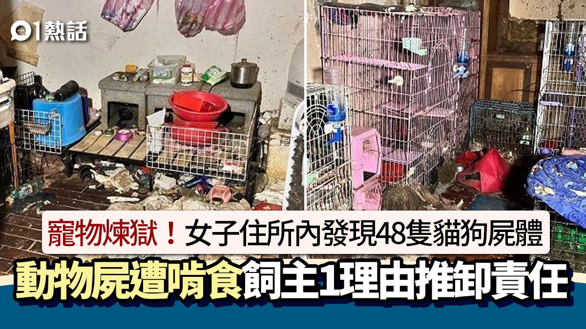 動物煉獄!47歲女子住所內藏48隻貓狗屍體傳惡臭 屍身慘遭啃食 動物煉獄!47歲女子住所內藏48隻貓狗屍體傳惡臭 屍身慘遭啃食