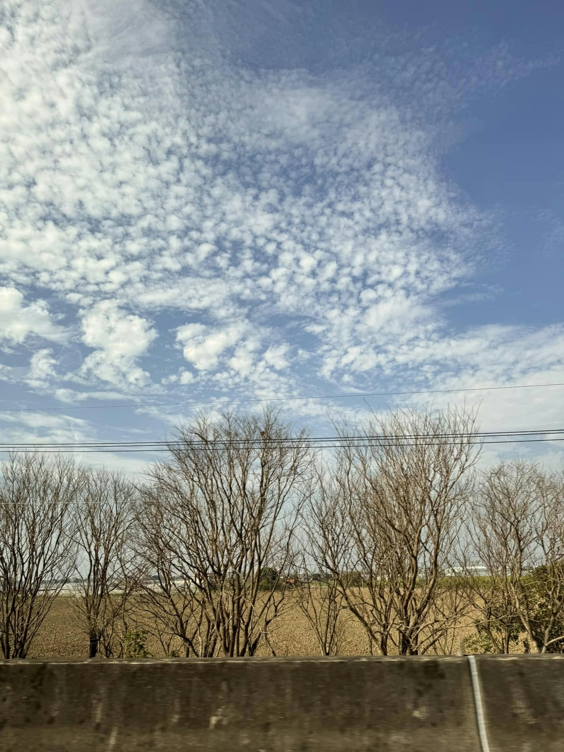 楊月娥分享的照片(Facebook@楊月娥)