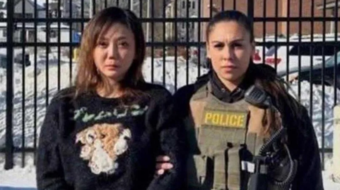 劉喬安因詐欺、販毒、運毒等原因成為通緝犯，年初已遭美方逮捕。（美國移民及海關執法局官網）