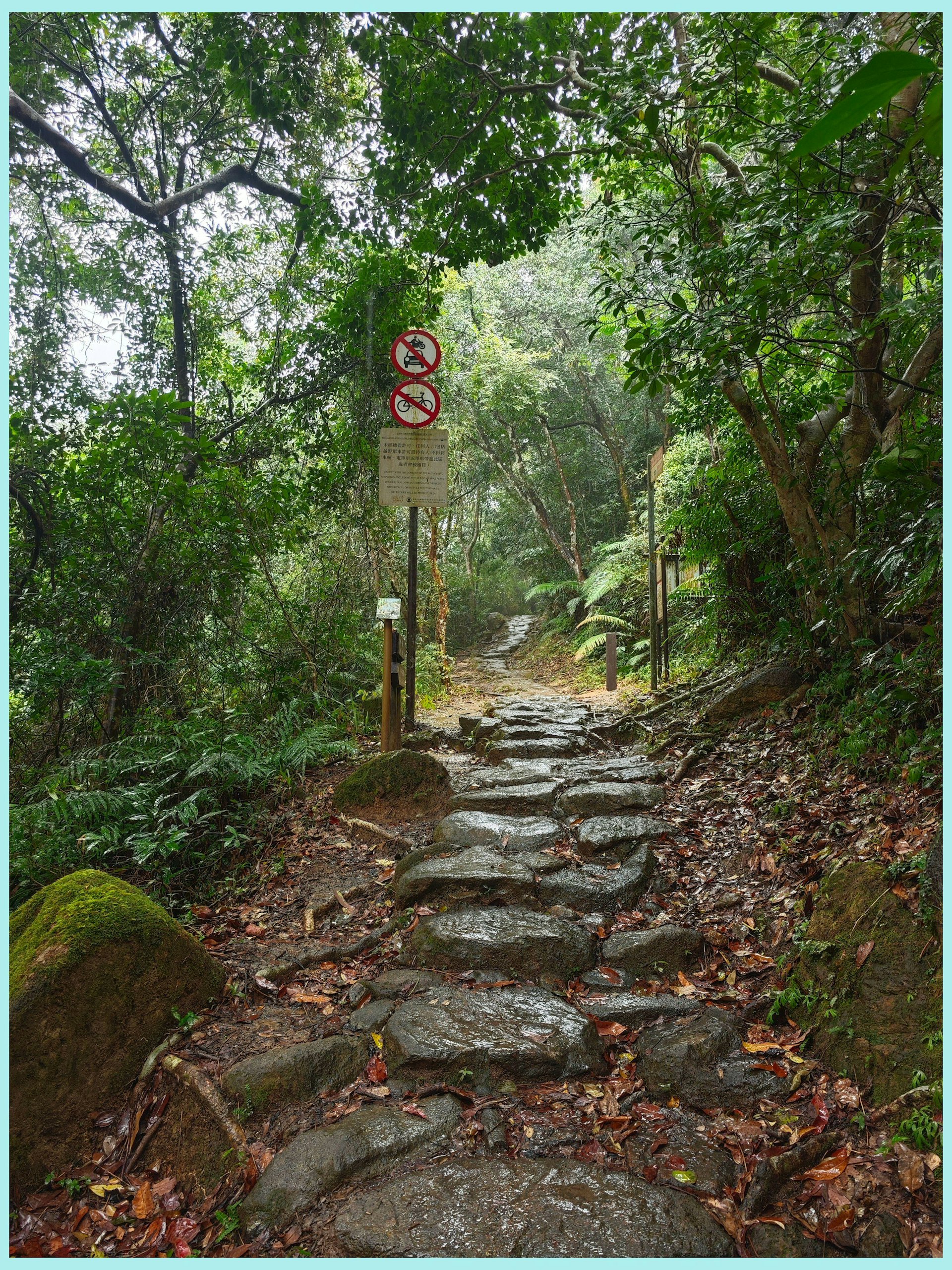 石砌古道(CATT'S BLOG授權使用) 石砌古道(CATT'S BLOG授權使用)