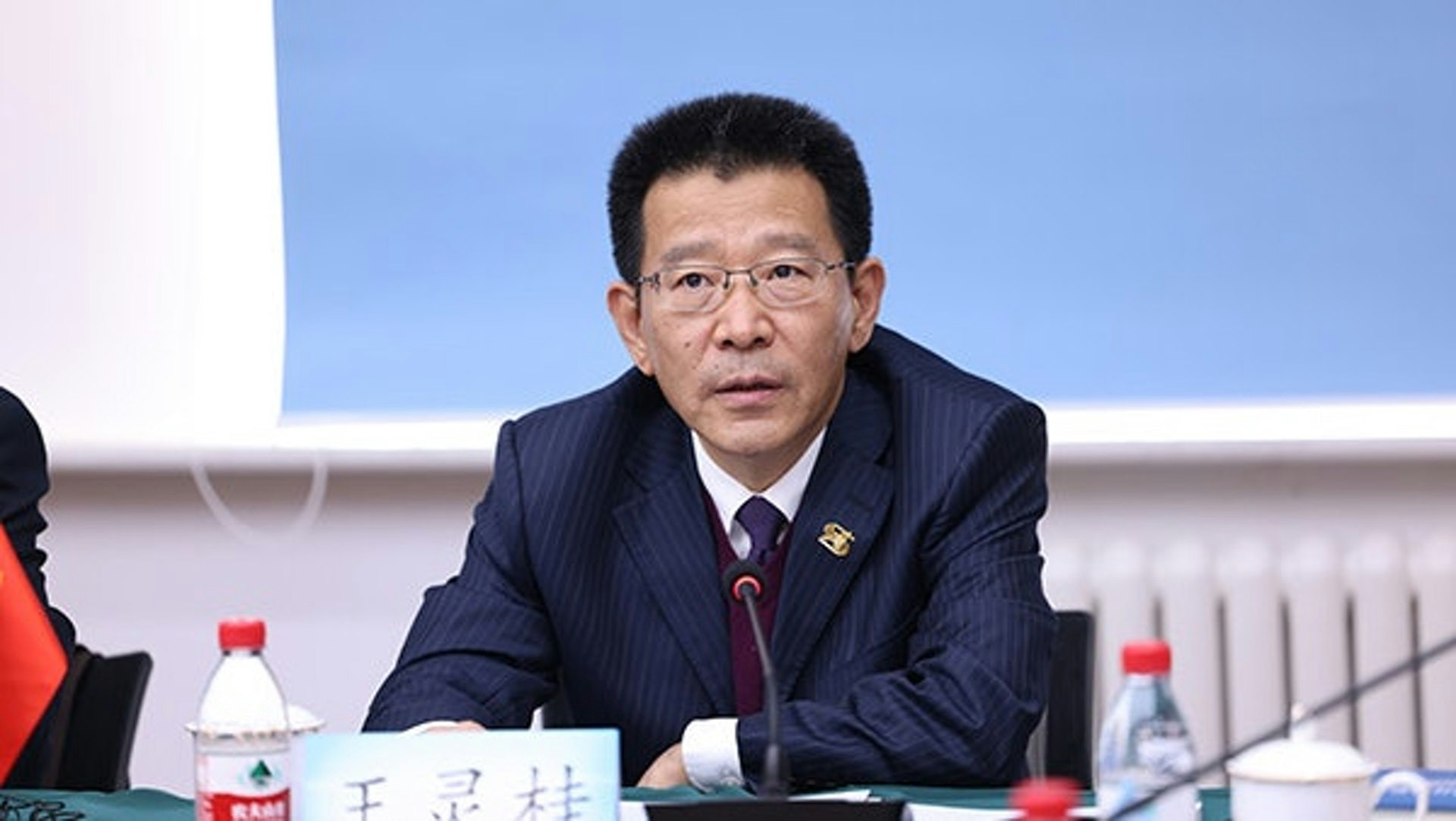 港澳辦副主任王靈桂升任中國僑聯黨組書記