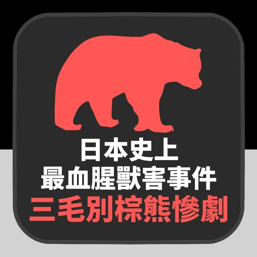 1915年三毛別棕熊襲擊：日本史上最慘烈獸害事件　在漆黑一片的家中困獸鬥（01製圖）
