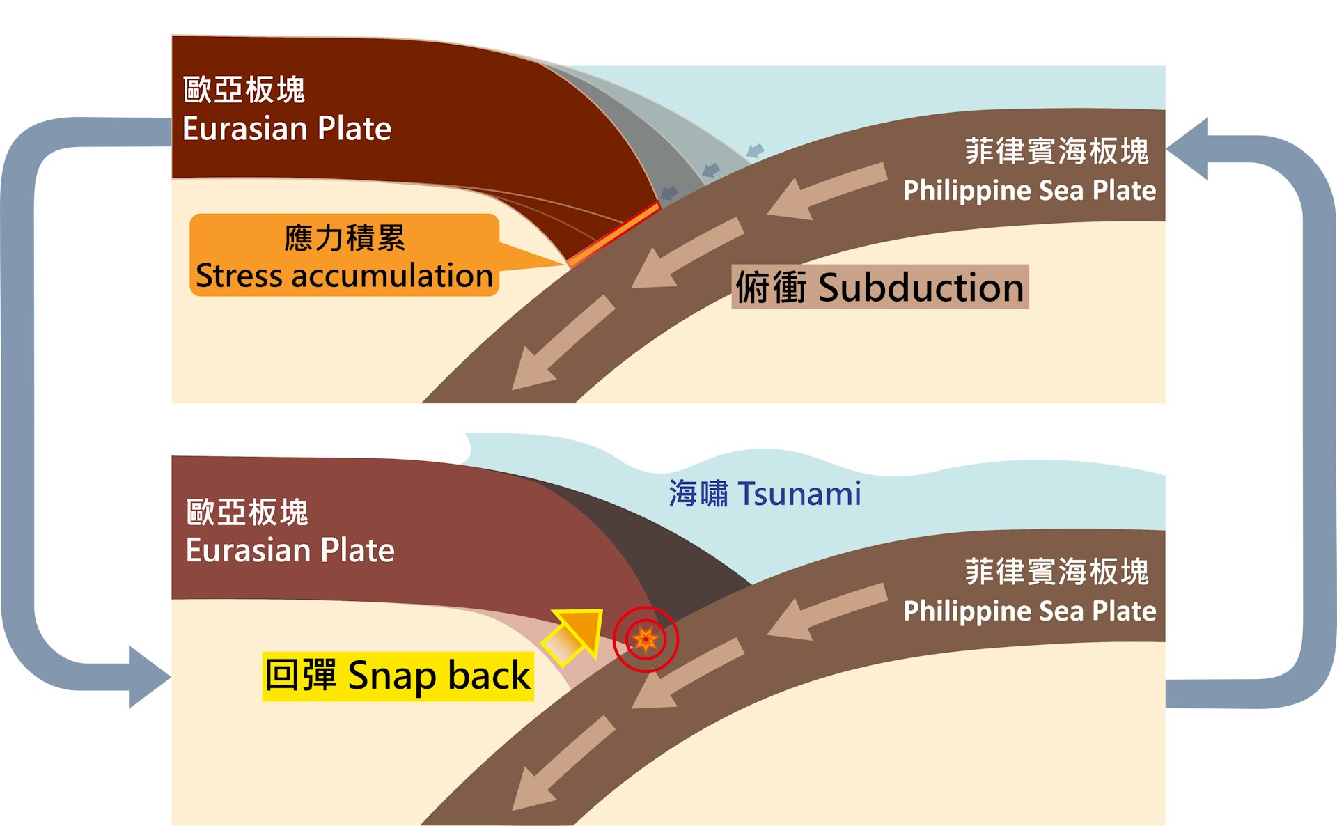 俯衝帶上能量累積與釋放的循環︰上圖為菲律賓海板塊俯衝至歐亞板塊之下,應力在兩塊板塊之間積累;下圖為歐亞板塊回彈以釋放累積的應力,產生地震及海嘯。(天文台圖片) 俯衝帶上能量累積與釋放的循環︰上圖為菲律賓海板塊俯衝至歐亞板塊之下,應力在兩塊板塊之間積累;下圖為歐亞板塊回彈以釋放累積的應力,產生地震及海嘯。(天文台圖片)