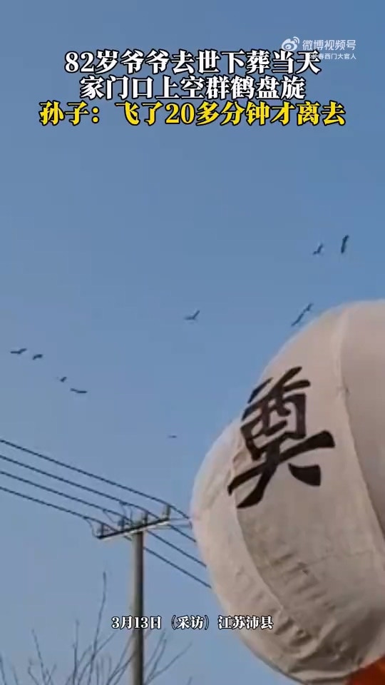 82歲老人辭世葬禮上仙鶴盤旋飛來致敬吉祥與高潔：駕鶴西去