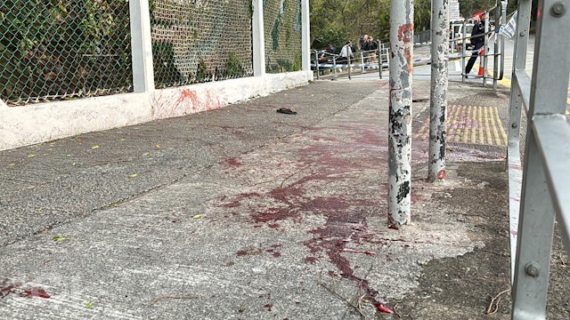 https://cdn.hk01.com/di/media/images/dw/20250316/978020968628752384509168.jpeg/YcLbC6sjhxeC_aY1_9KUc_YAeg84IEQdcejicWfo4nE?v=w640