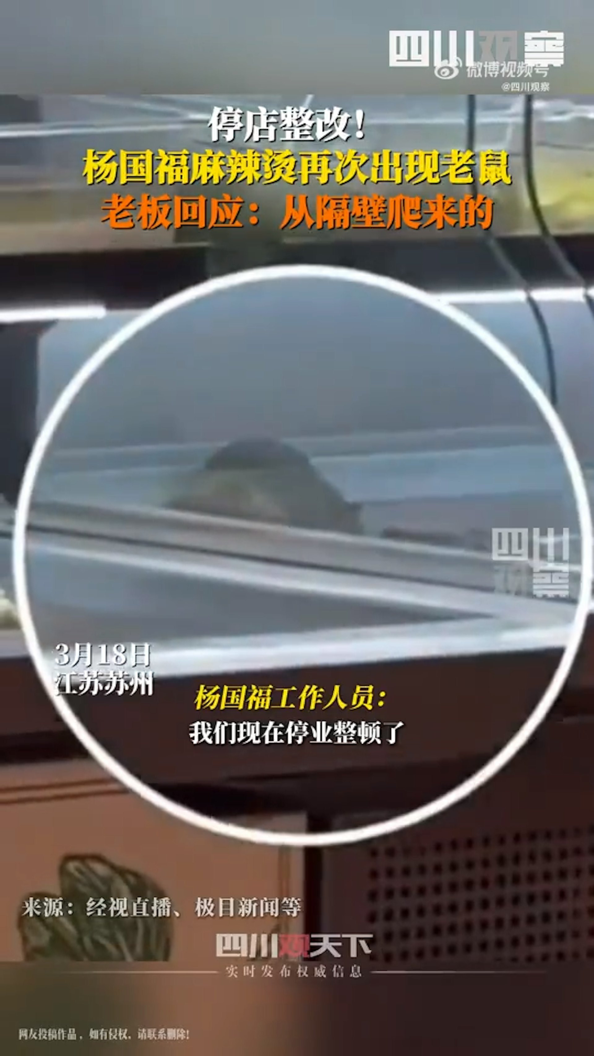 內地知名麻辣燙品牌「楊國福」被顧客目擊食材自助區,有老鼠亂跑,驚嚇不已(微博@四川觀察影片截圖) 內地知名麻辣燙品牌「楊國福」被顧客目擊食材自助區,有老鼠亂跑,驚嚇不已(微博@四川觀察影片截圖)