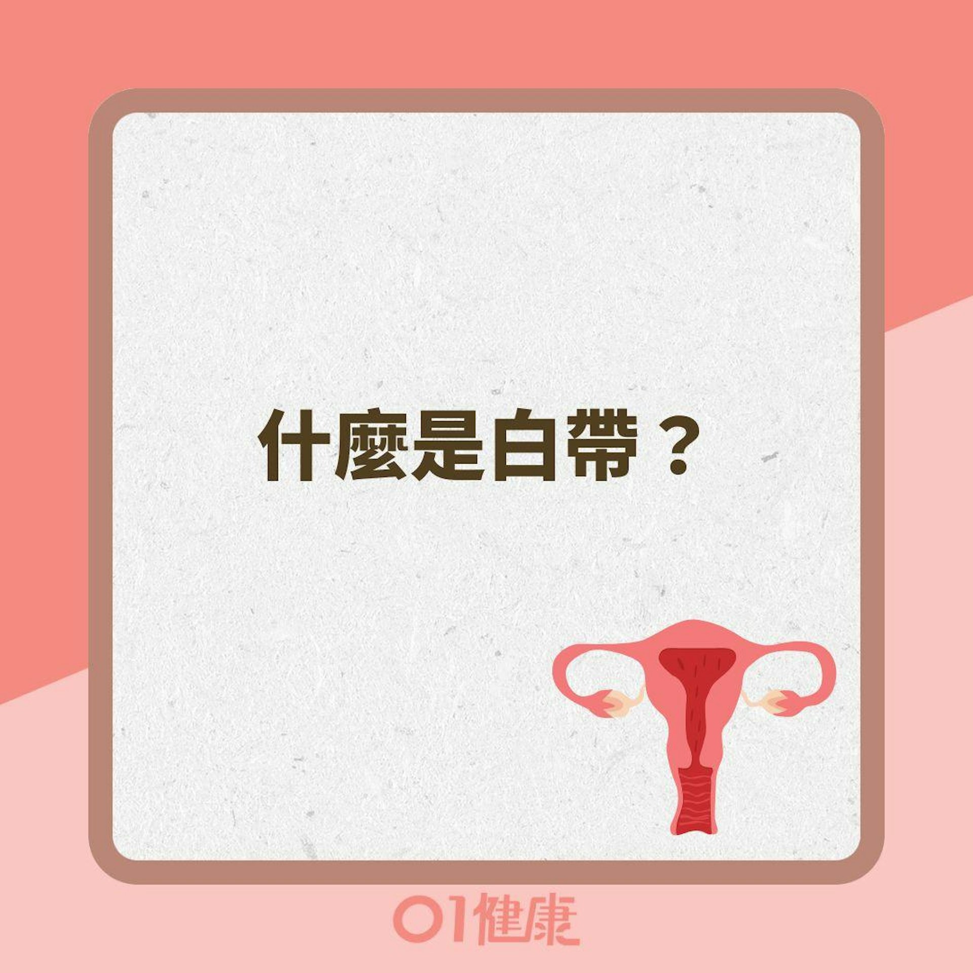 什麼是白帶?(01製圖 ) 什麼是白帶?(01製圖 )