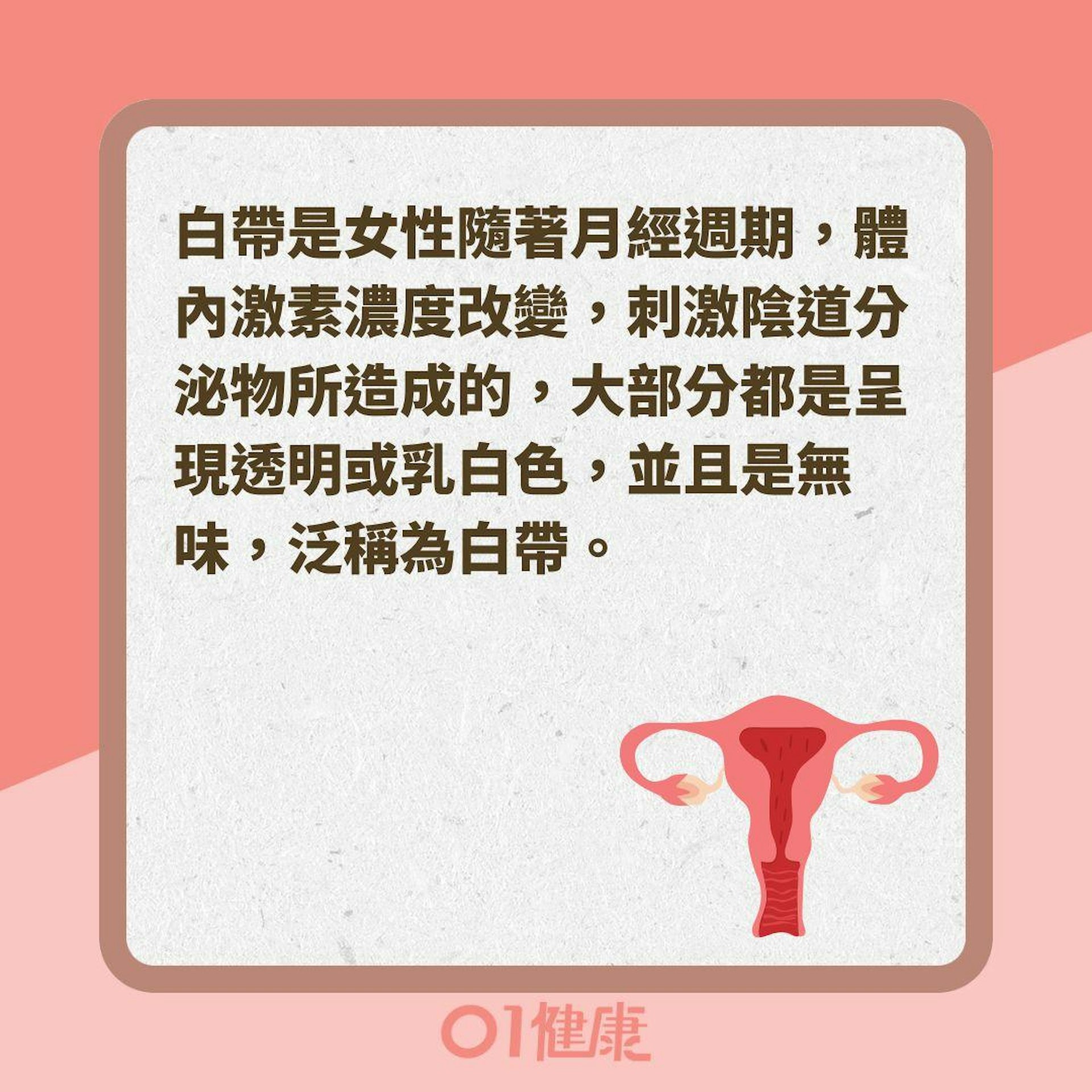 什麼是白帶?(01製圖 ) 什麼是白帶?(01製圖 )