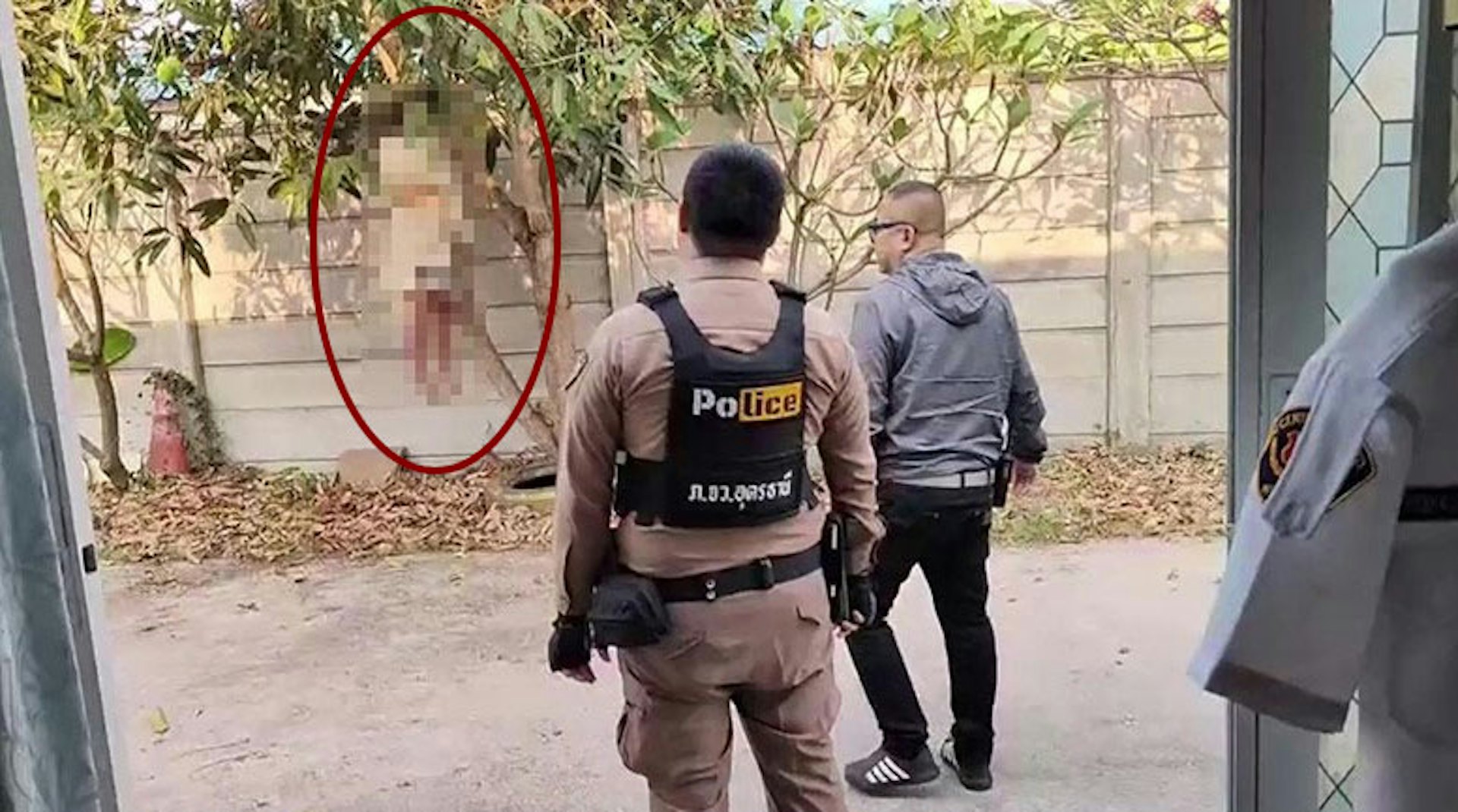 泰國發生恐怖命案,有年輕女子吊掛樹上,舌頭吐出當場死亡。(網上圖片) 泰國發生恐怖命案,有年輕女子吊掛樹上,舌頭吐出當場死亡。(網上圖片)