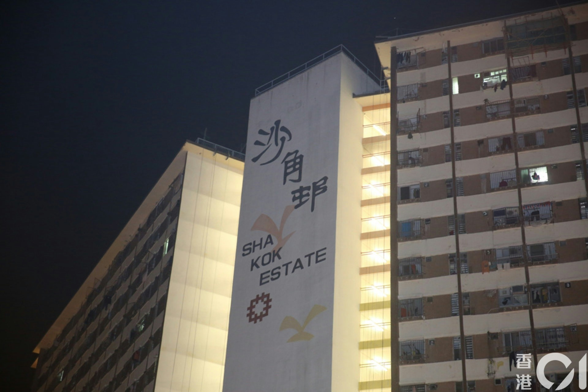 基孔肯雅熱｜居沙角邨一歲男嬰確診　北上東莞兩周　上周五現病徵