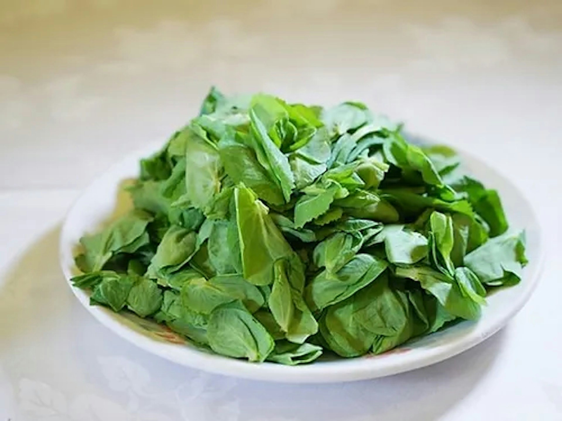 在香港吃「豆苗」並不便宜。（資料圖片）