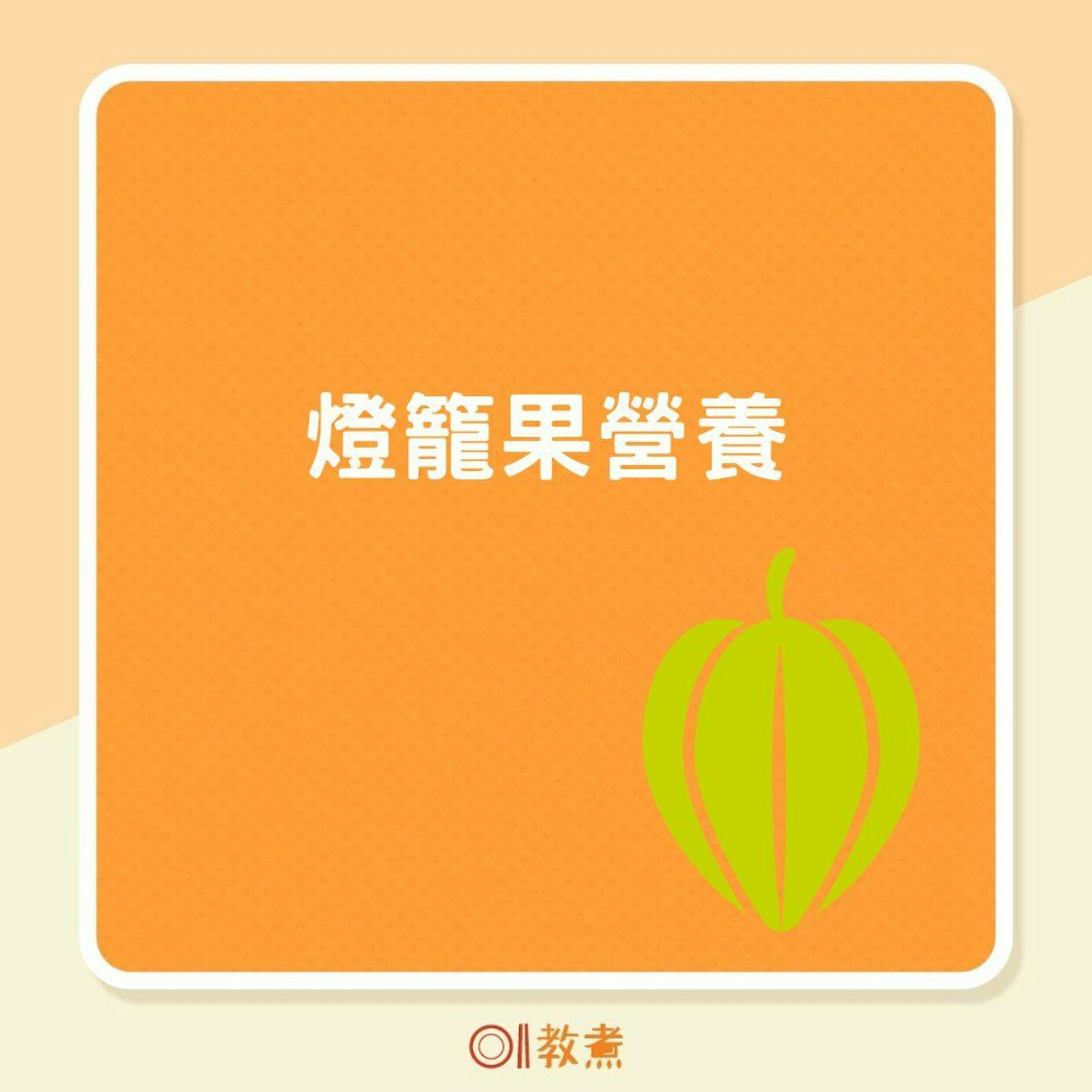 燈籠果營養(01製圖) 燈籠果營養(01製圖)