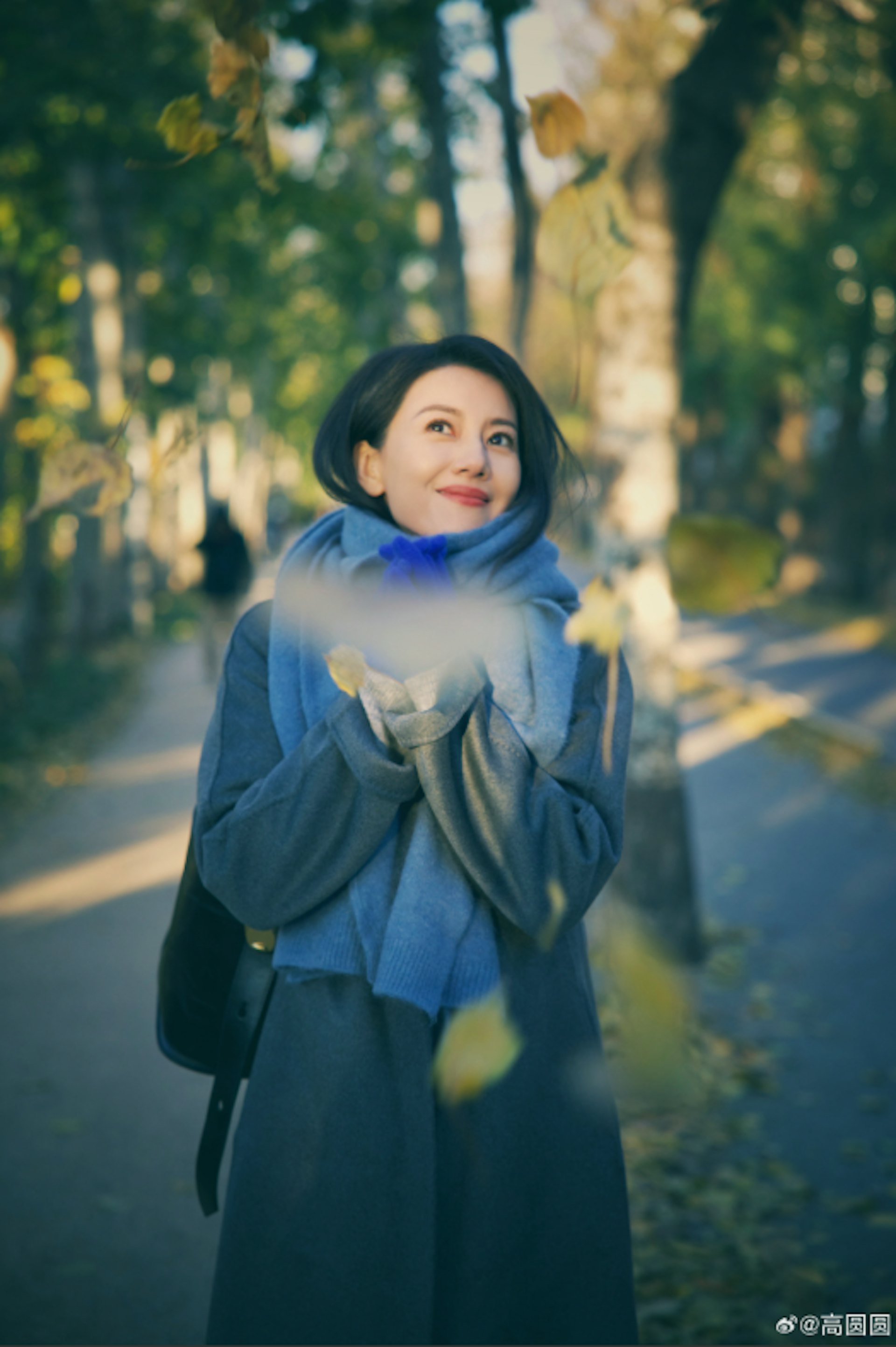 高圓圓(微博@高圓圓)
