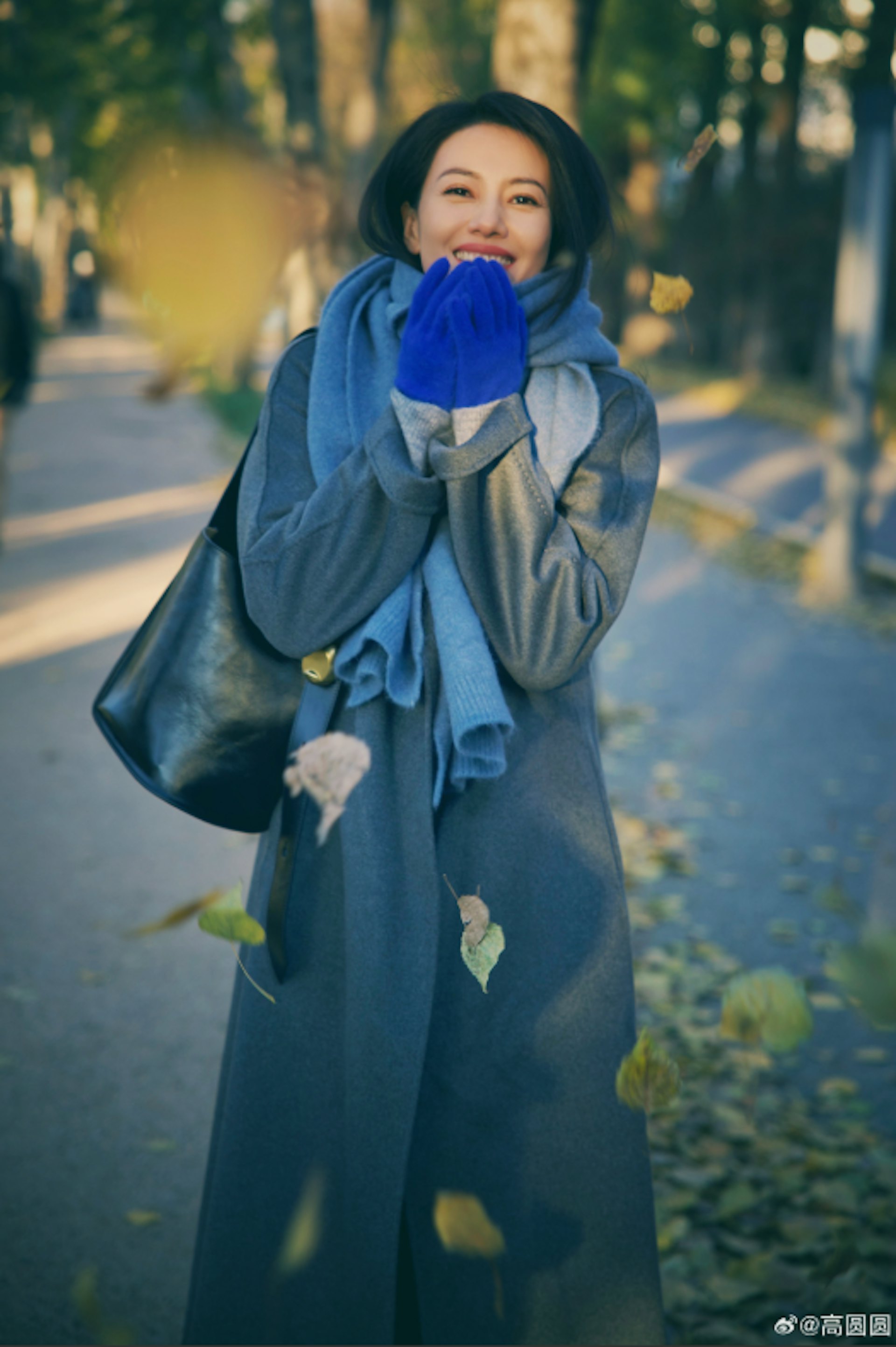 高圓圓(微博@高圓圓)