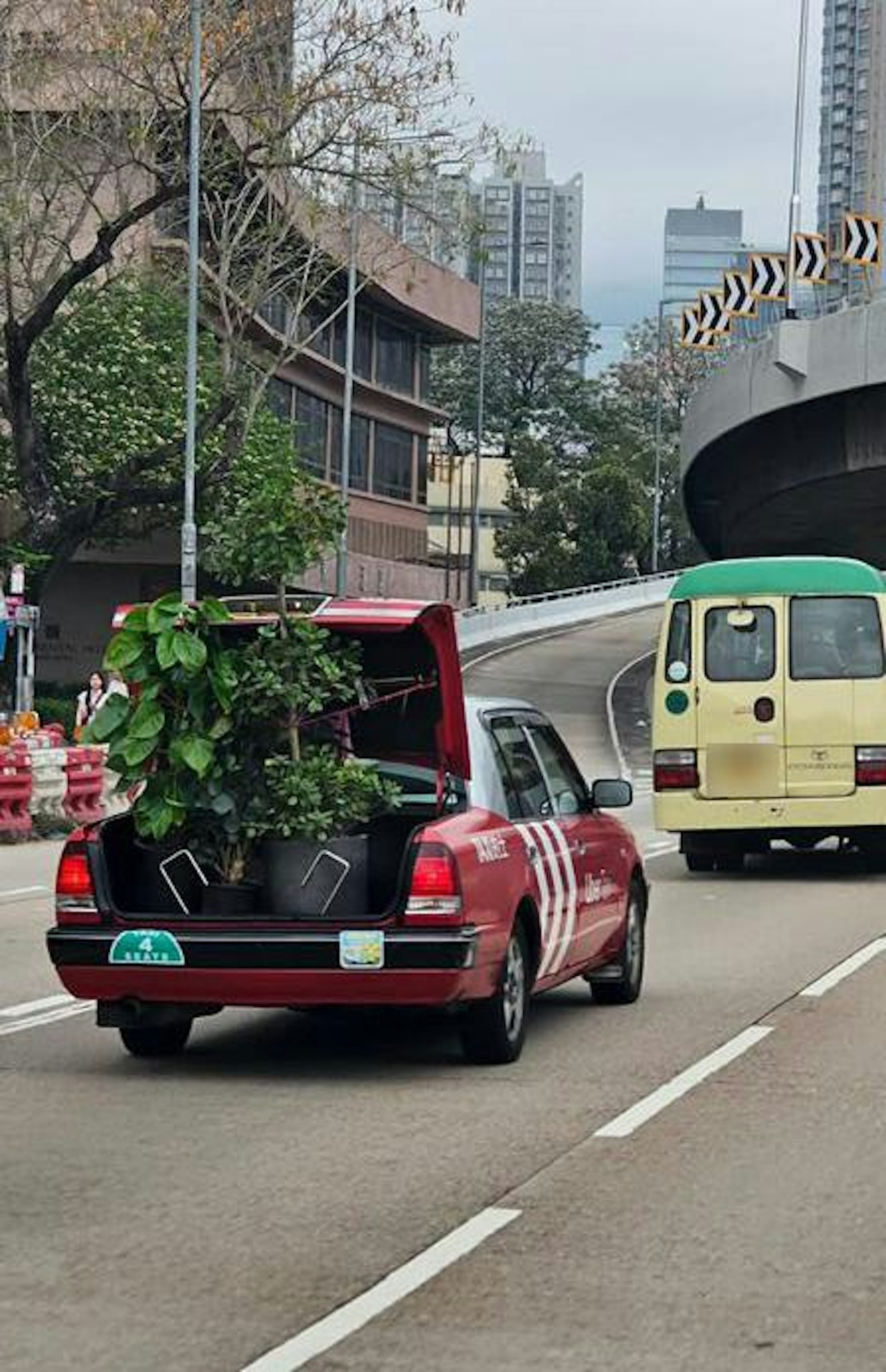 1輛市區的士在路上行駛,惟車尾箱卻放着3個高大的盆栽,車尾箱門大開。(Facebook圖片) 1輛市區的士在路上行駛,惟車尾箱卻放着3個高大的盆栽,車尾箱門大開。(Facebook圖片)