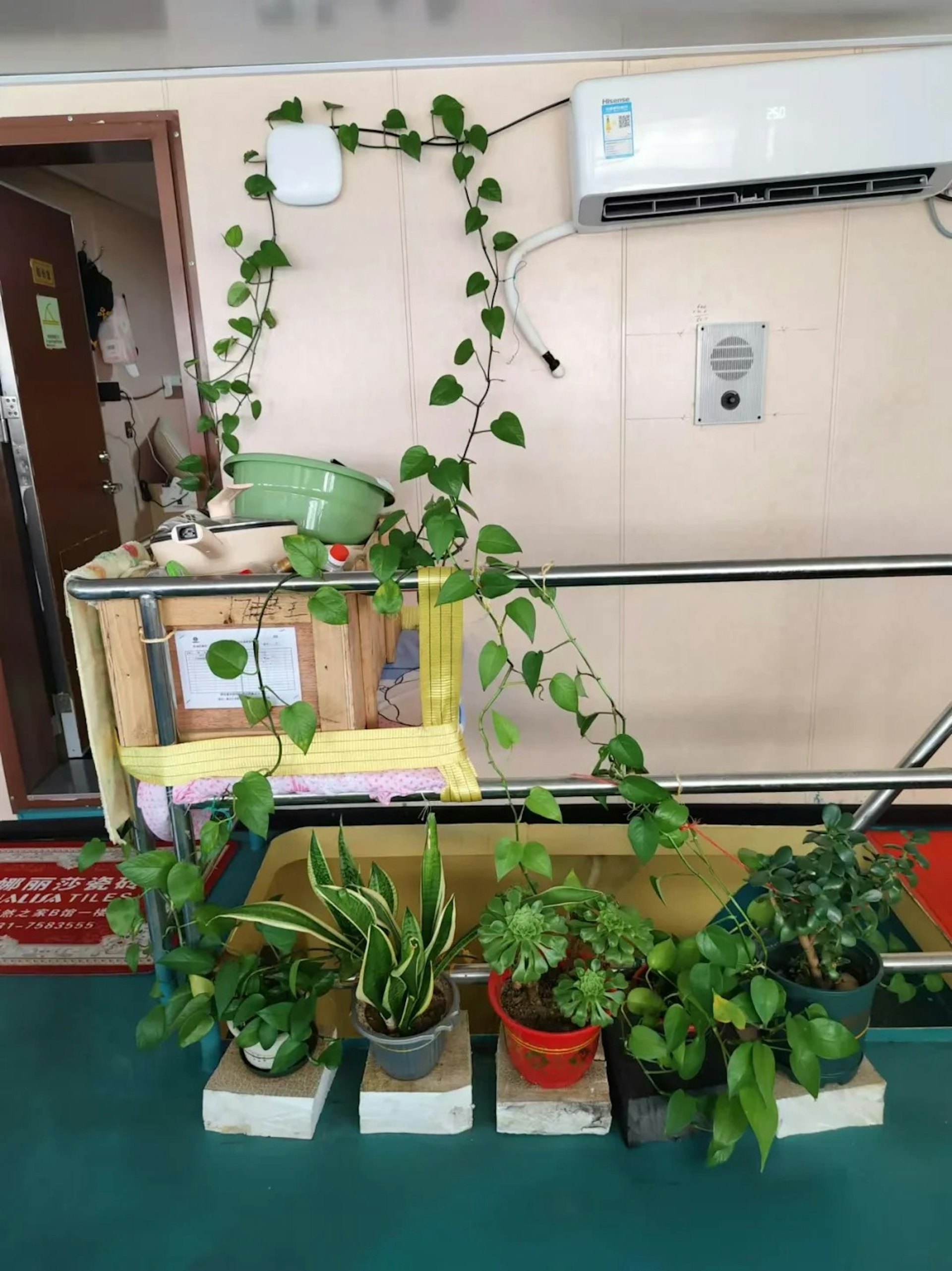 小星收到警方提供的父親在船上遺留的花草等物件。(小紅書) 小星收到警方提供的父親在船上遺留的花草等物件。(小紅書)