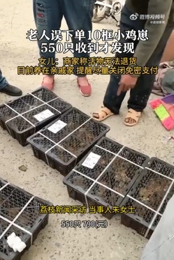 小雞被送到家門時嚇了朱男一跳。（影片截圖）