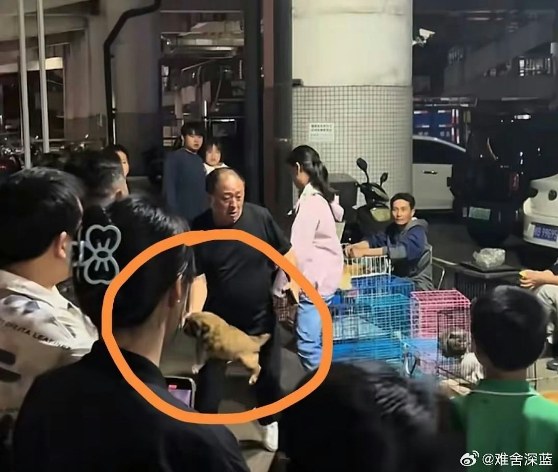 男子當眾將小狗摔死,相關影片在網上瘋傳,引發眾怒。(微博) 男子當眾將小狗摔死,相關影片在網上瘋傳,引發眾怒。(微博)