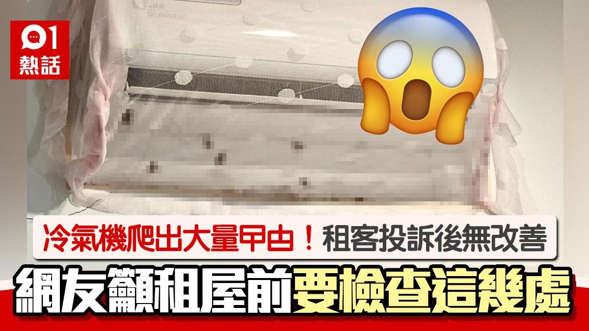 冷氣機爬出大量曱甴!網友籲租屋前檢查這幾處:蟑螂只會愈來愈多 冷氣機爬出大量曱甴!網友籲租屋前檢查這幾處:蟑螂只會愈來愈多