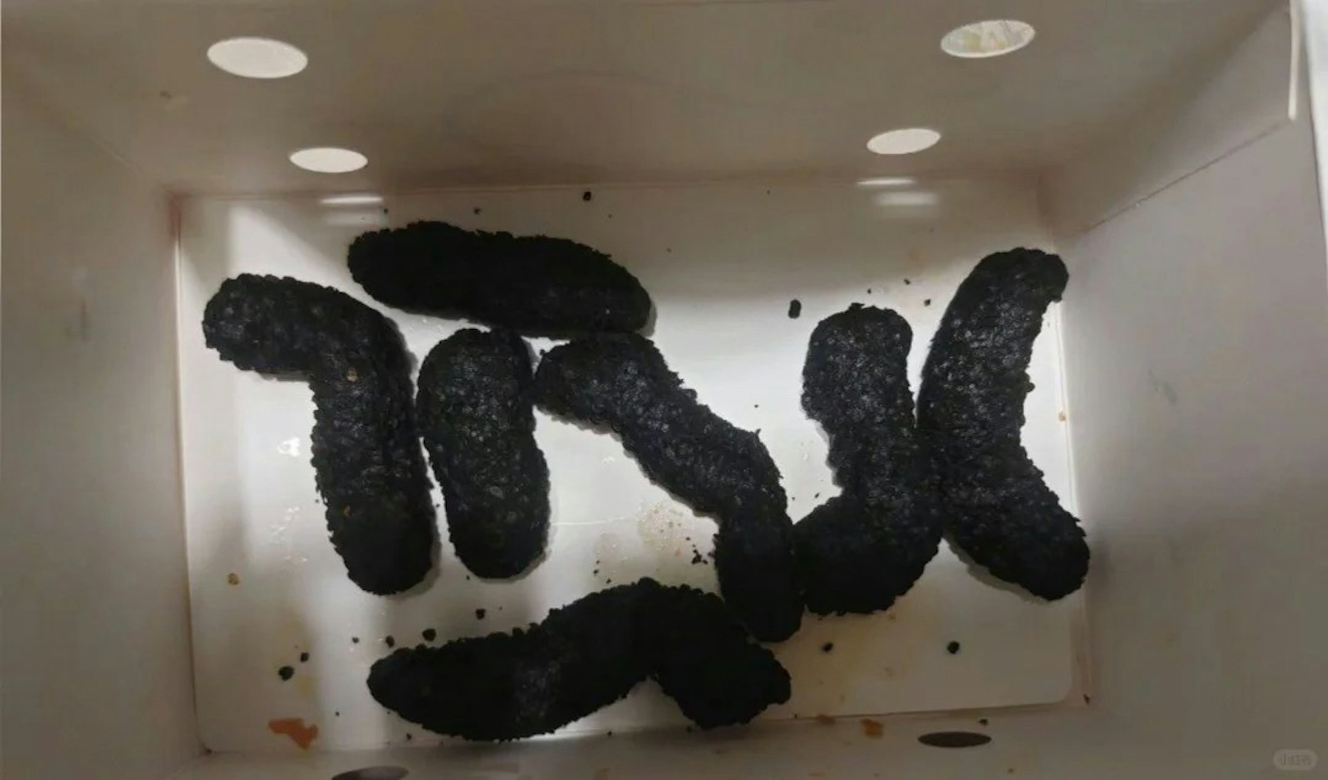 網民紛紛表示德克士「黑金藤椒脆皮小酥肉」的外觀引人不適。(小紅書) 網民紛紛表示德克士「黑金藤椒脆皮小酥肉」的外觀引人不適。(小紅書)