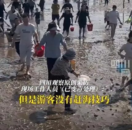 景區派工作人員「撒蜆」讓遊客撿拾。（新浪微博）