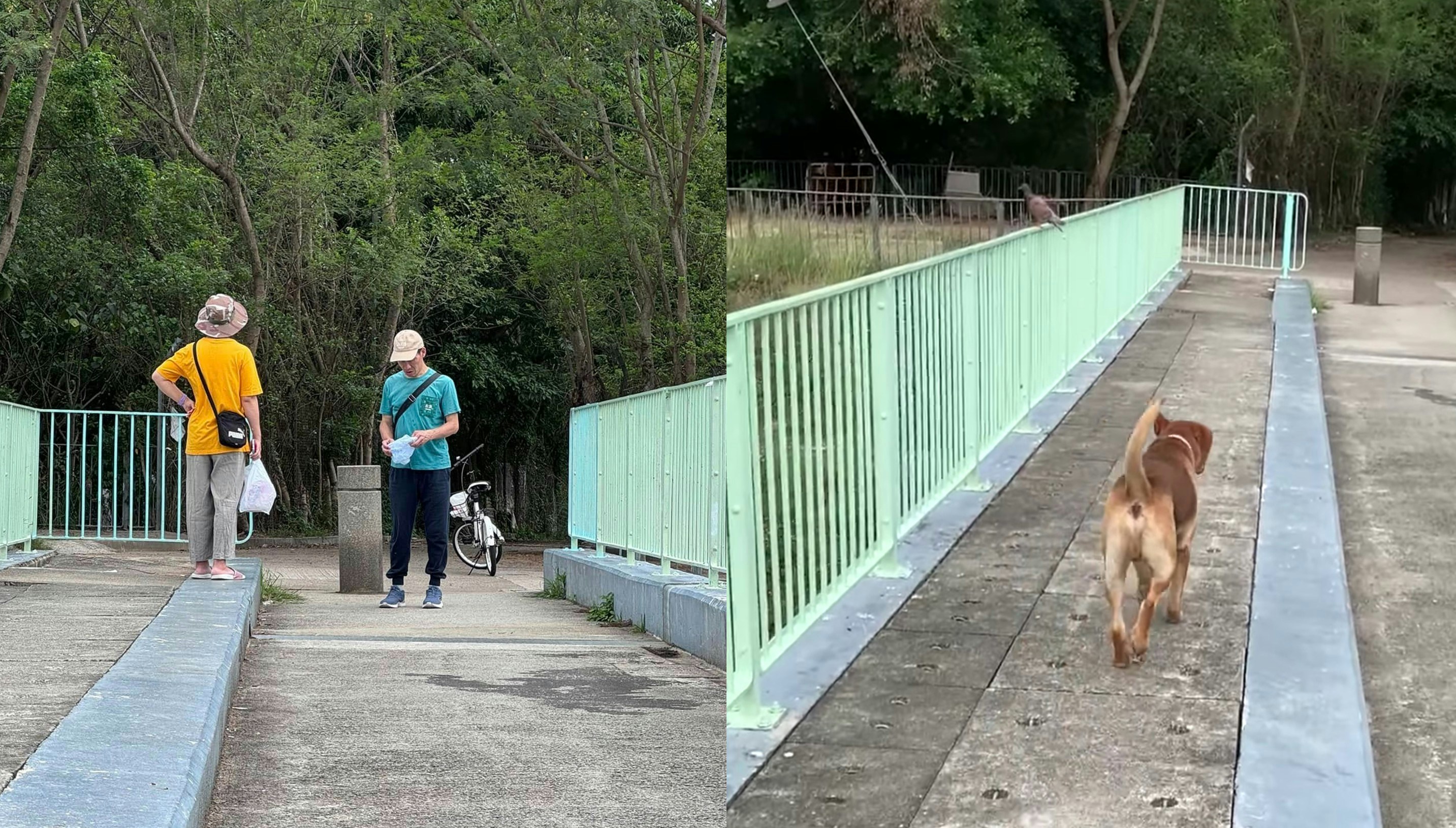 上水梧桐河男女隨地撒食物　網民憂企圖毒狗報警求助