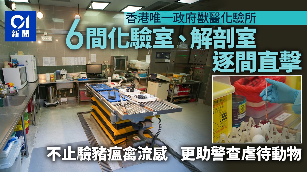 大龍獸醫化驗所｜6個化驗室和1個解剖室逐間睇　不止驗豬瘟禽流感
