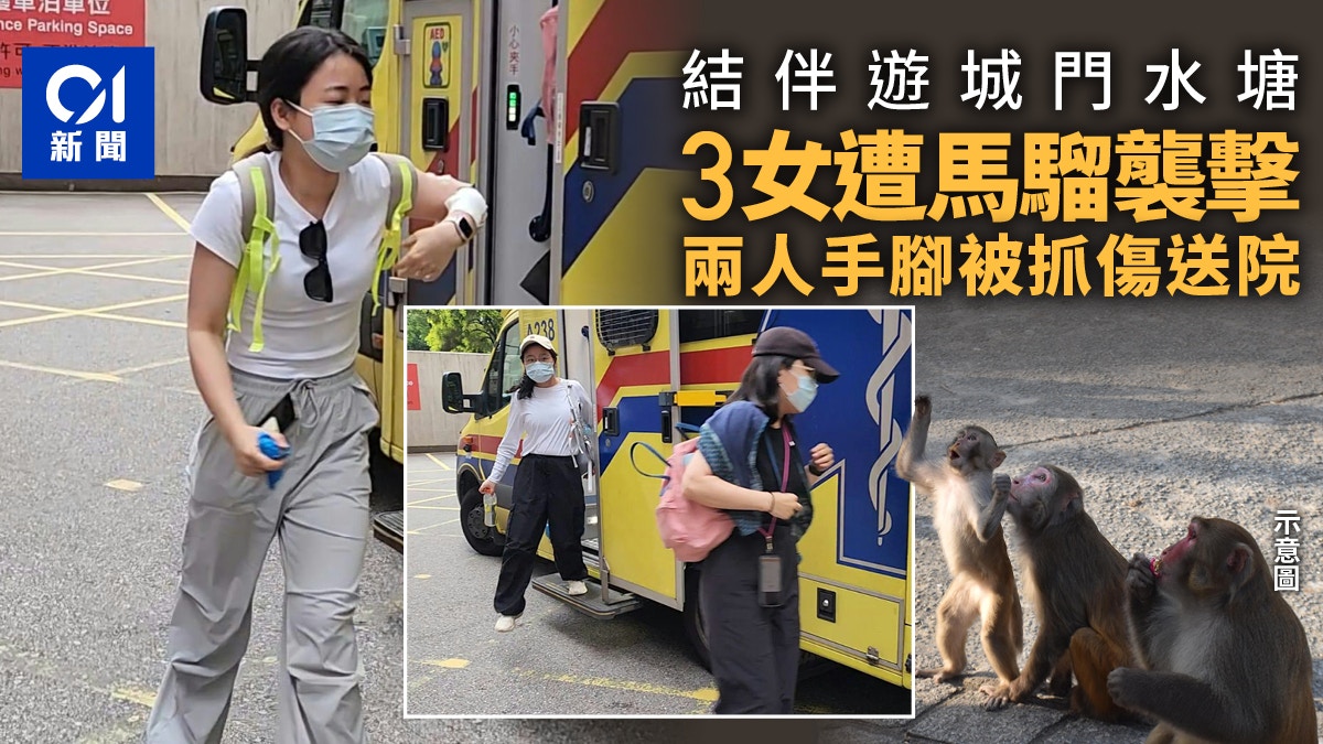 3女結伴遊城門水塘遇馬騮襲擊　其中兩人遭抓傷手腳送院