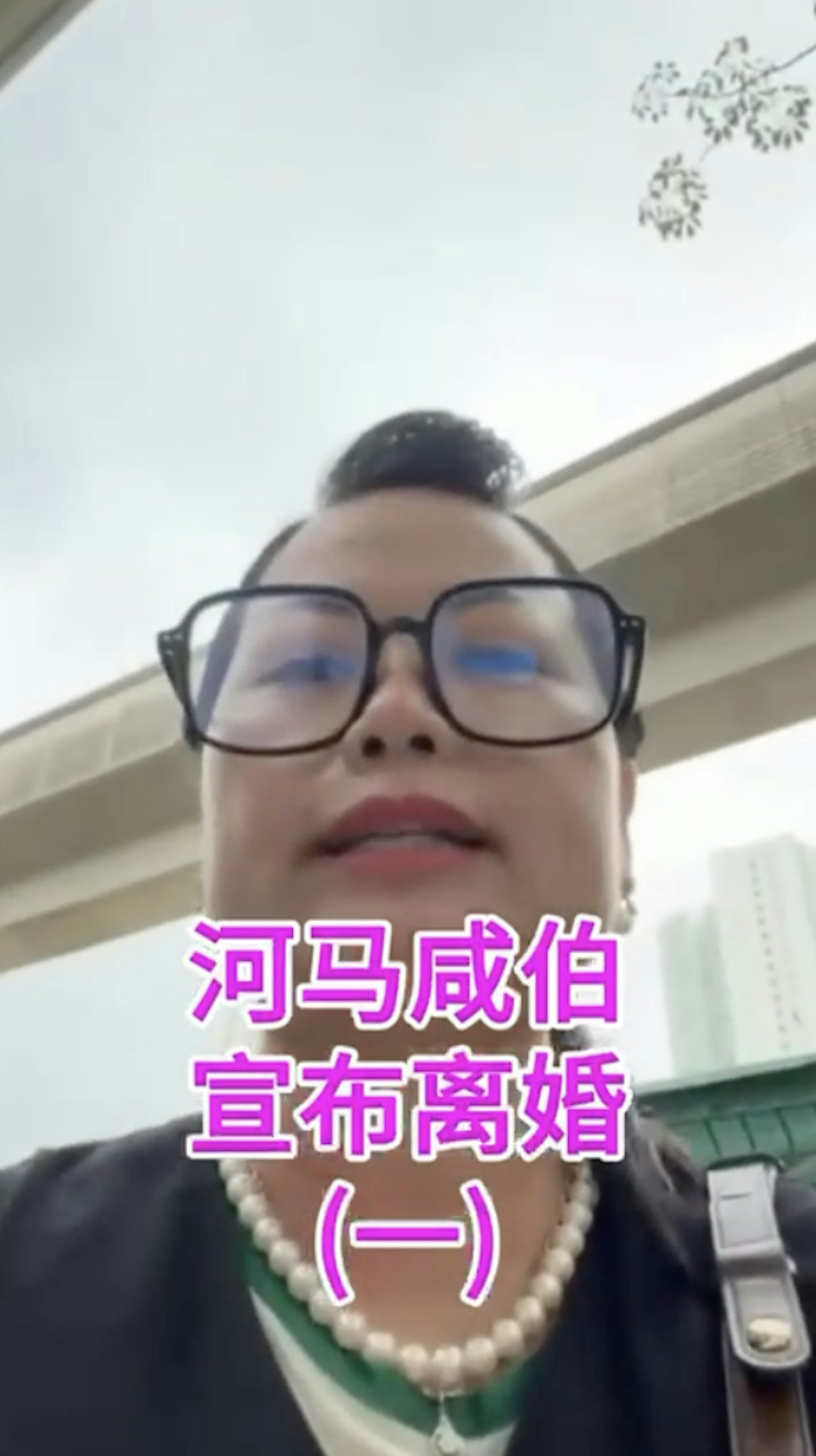 何太親口宣布與何伯離婚。(影片截圖) 何太親口宣布與何伯離婚。(影片截圖)