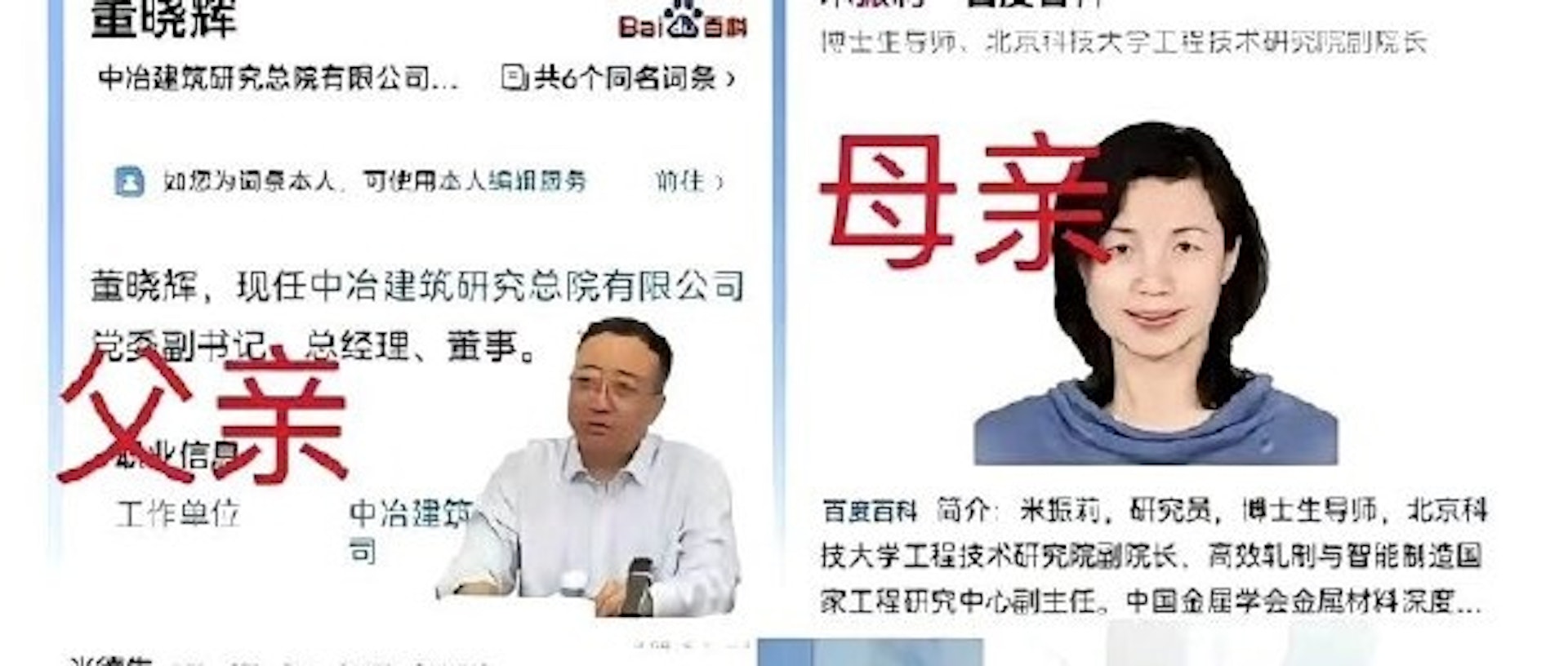 夫妻俩都是体制内的权贵。 (网络图片)