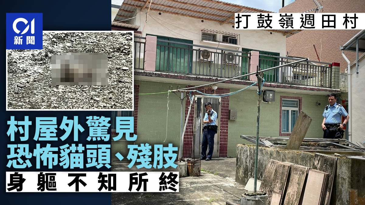 打鼓嶺週田村驚現貓頭 貓身不知所終 打鼓嶺週田村驚現貓頭 貓身不知所終