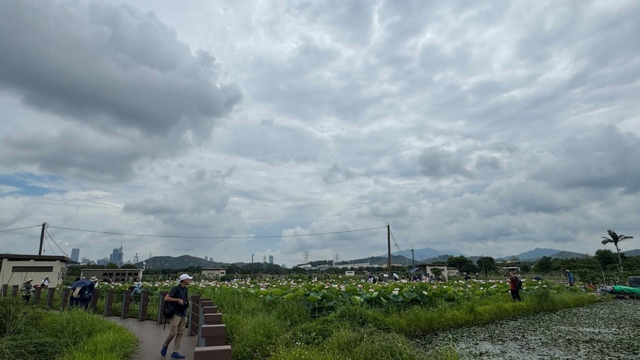 天文台預測520有驟雨 周四、五天氣酷熱達33 度 周末氣温回落 天文台預測520有驟雨 周四、五天氣酷熱達33 度 周末氣温回落