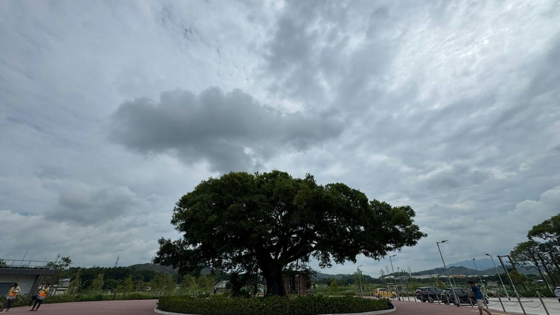 天文台預測今日(19日)天氣炎熱,短暫時間有陽光。局部地區有驟雨。(香港01記者攝) 天文台預測今日(19日)天氣炎熱,短暫時間有陽光。局部地區有驟雨。(香港01記者攝)