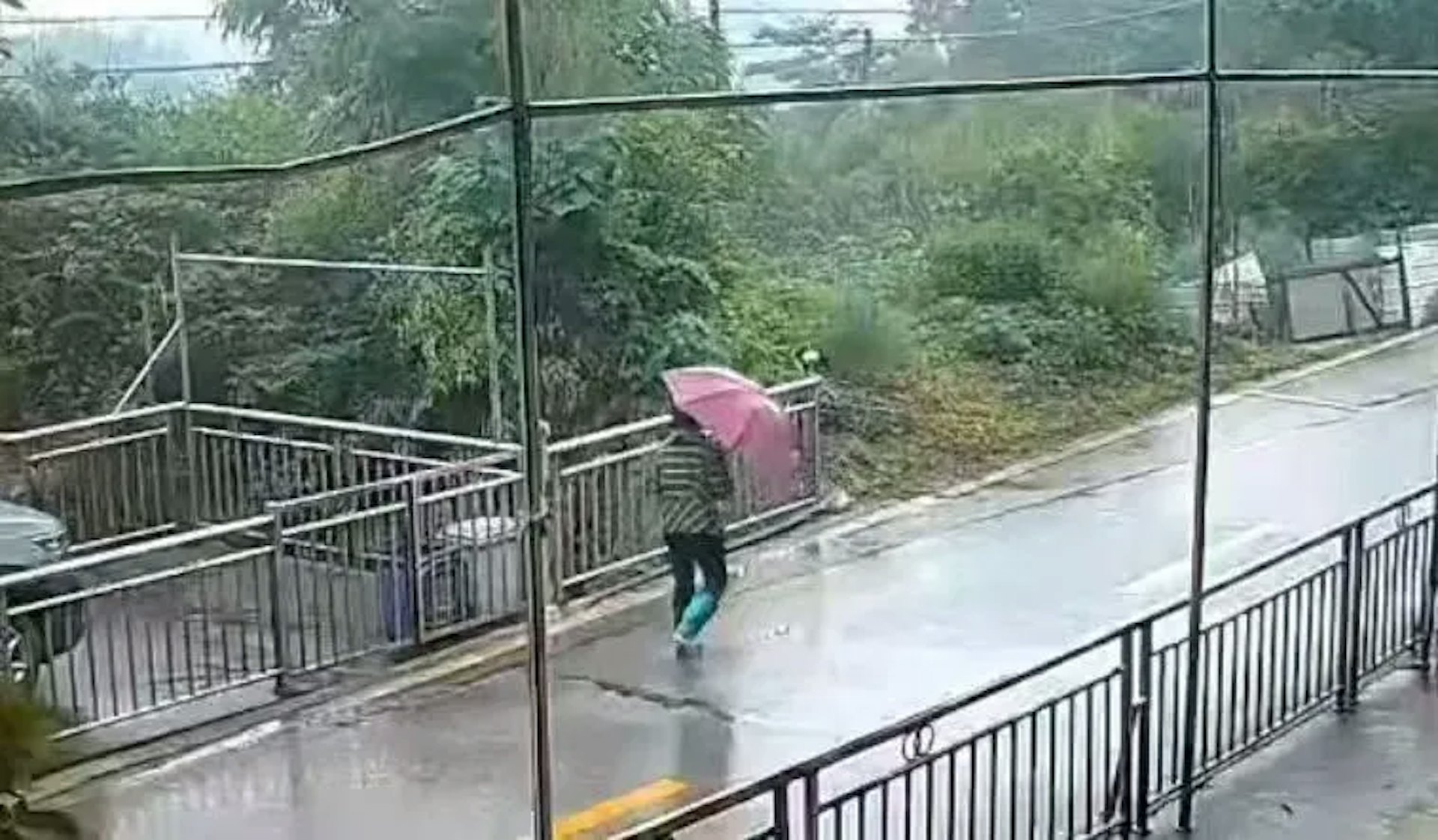 老人走失時的閉路電視影像。(瀟湘晨報) 老人走失時的閉路電視影像。(瀟湘晨報)