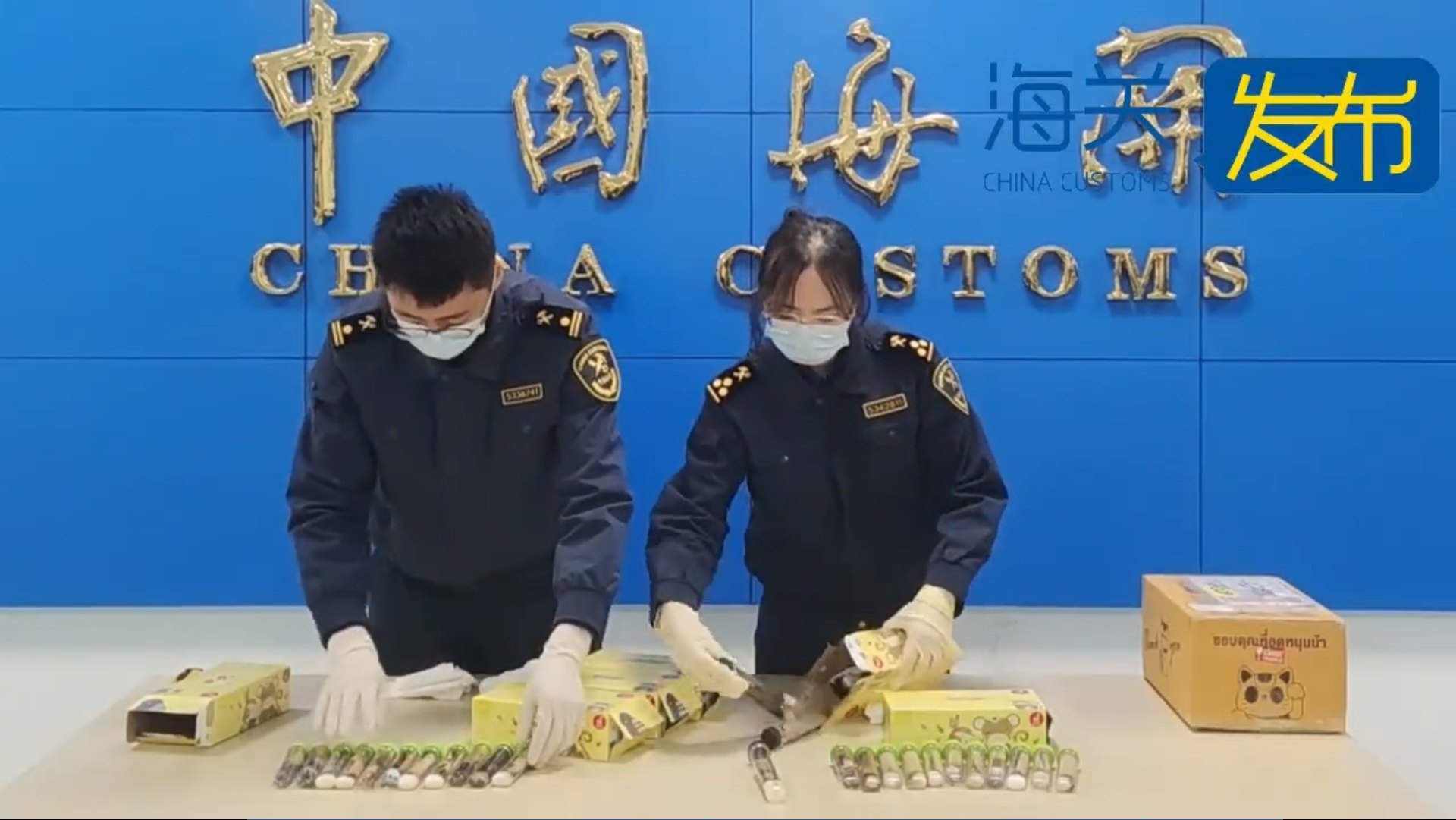 深圳郵局查獲活體螞蟻3882隻。(海關發佈) 深圳郵局查獲活體螞蟻3882隻。(海關發佈)