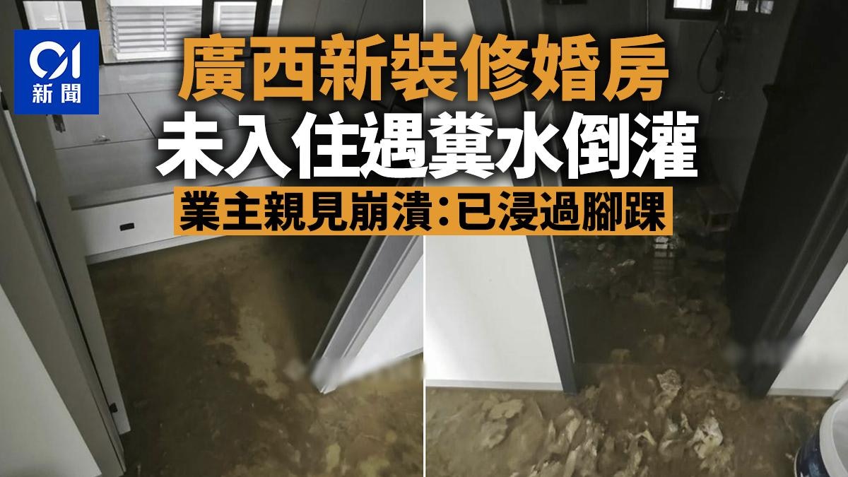 婚房裝修完尚未入住被糞水浸泡 業主親見崩潰:已漫過腳踝 婚房裝修完尚未入住被糞水浸泡 業主親見崩潰:已漫過腳踝