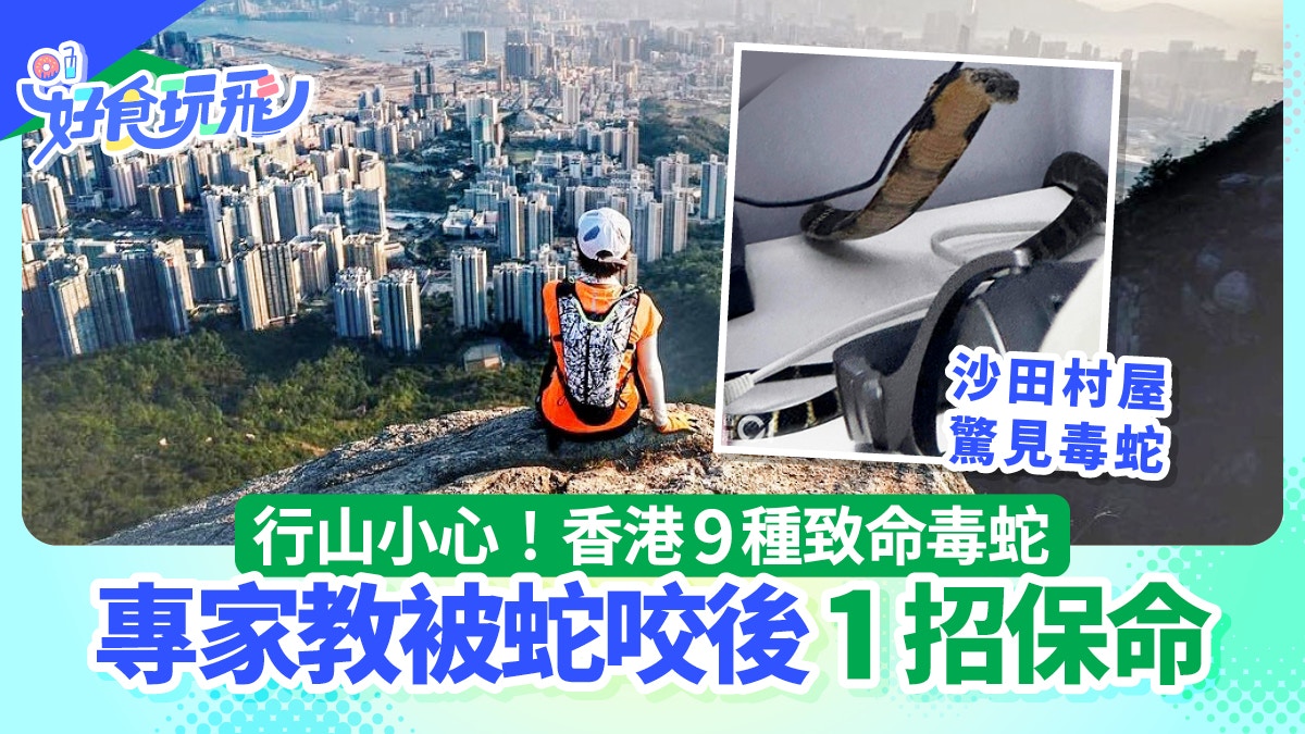 毒蛇驚現沙田｜行山小心！香港9種致命毒蛇　專家教被咬後1招保命