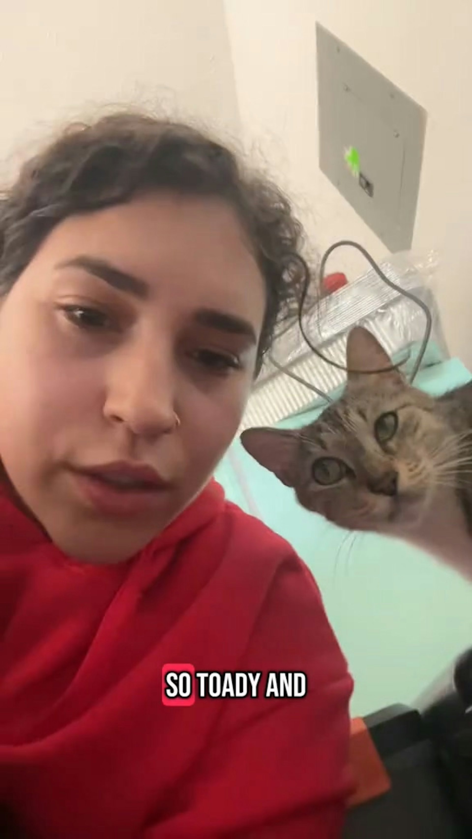 本來只是投餵一隻流浪貓咪(tiktok@lady.yappington) 本來只是投餵一隻流浪貓咪(tiktok@lady.yappington)