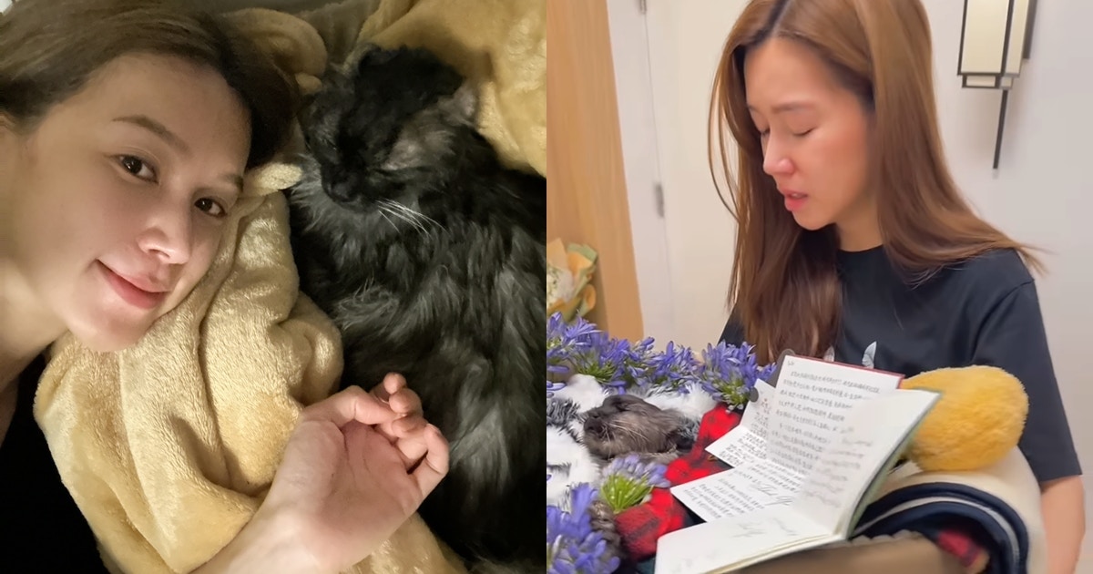 傅嘉莉半年內兩愛貓先後離世 送別23歲BeBe..感恩能圓滿你一生