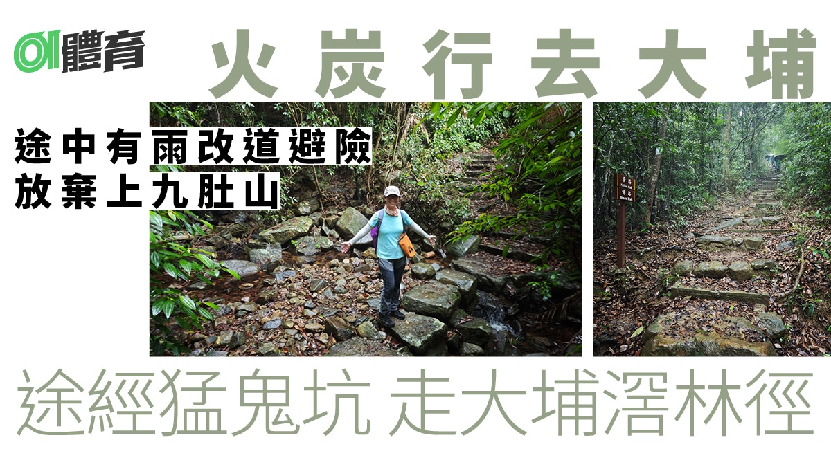 火炭行山|港鐵站上長瀝尾似走入原始森林 經大松古道荔枝山落山
